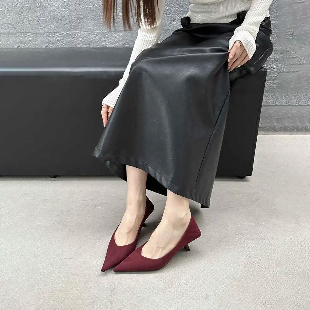 Pointed Toe High Heel Pumps